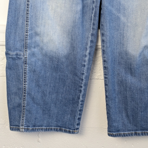 Anthropologie • Pilcro Kenna Barrel Jeans - Picture 4 of 10